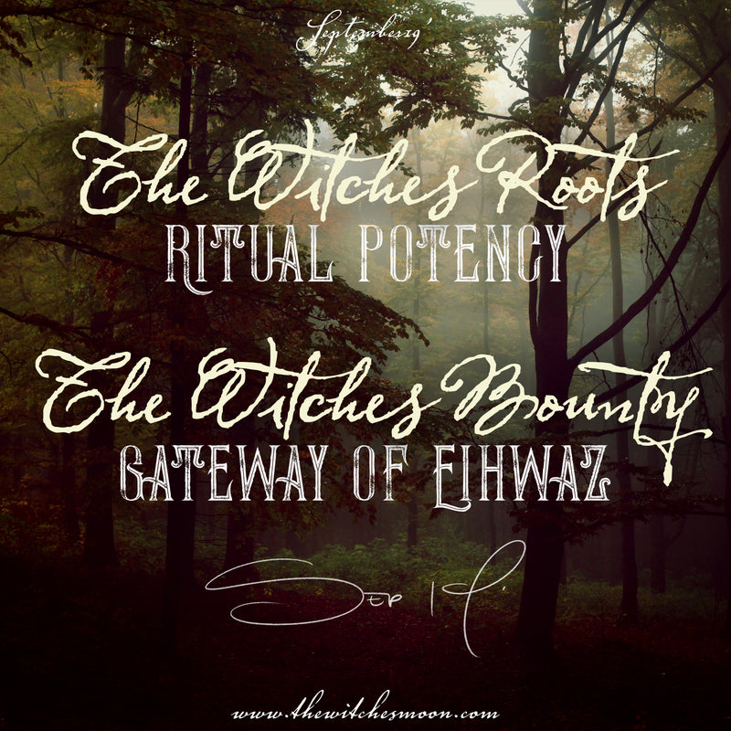 The Witches Bounty™ and The Witches Roots™ September 2019 Themes Revealed!