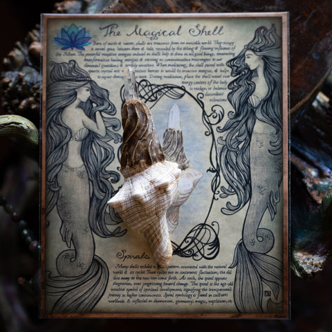 Hand-Crafted Ritual Altar Besom (The Witches Moon® Exclusive)