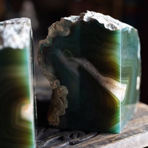 Tree Agate Tumbled Stone