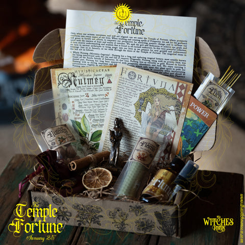 (Limited & Exclusive) The Witches Moon® ~ The Bell of Shadows ~ November 2024