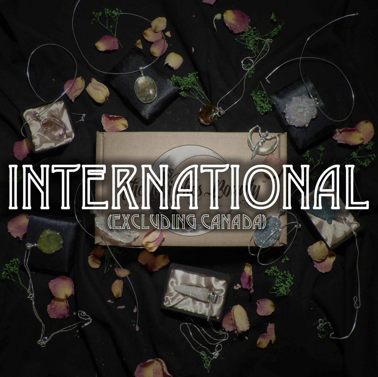 The Witches Bounty™ Subscription (International)