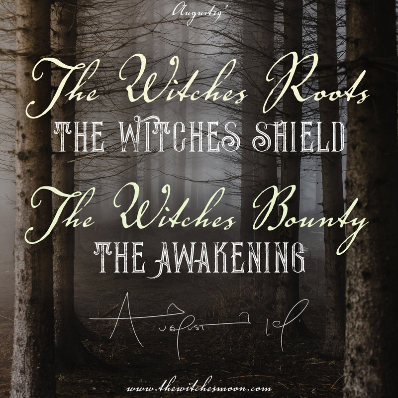 The Witches Bounty™ & The Witches Roots August 2019 Themes Revealed!