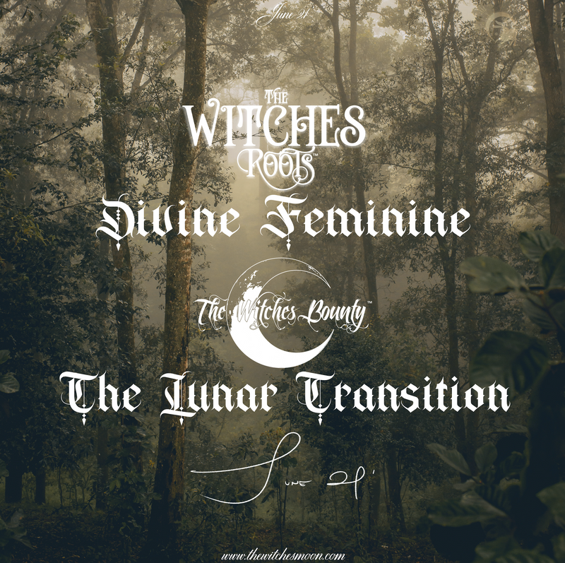 The Witches Roots™ & The Witches Bounty™ June 2021 Themes Revealed
