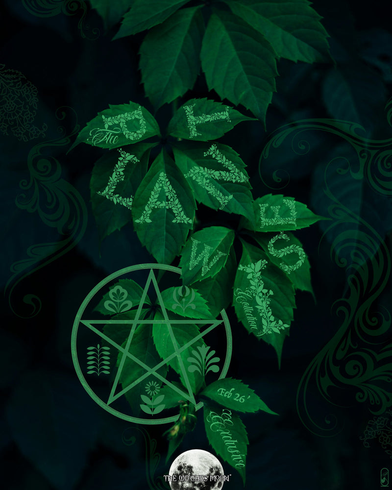 The Witches Moon® ~ The Exclusive Plant Wise Collection ~ February 2026