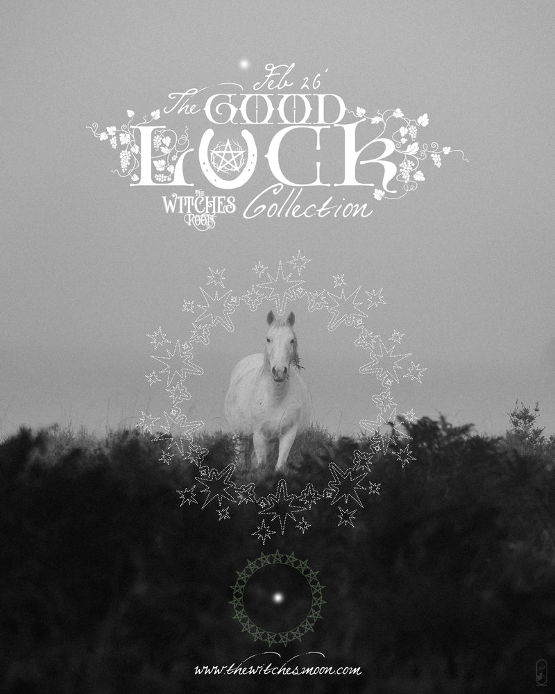 The Witches Roots™ ~ The Good Luck Collection ~ February 2026