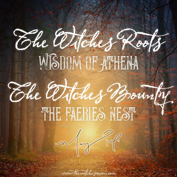 The Witches Bounty™ & The Witches Roots™ May 2019 Themes Revealed!