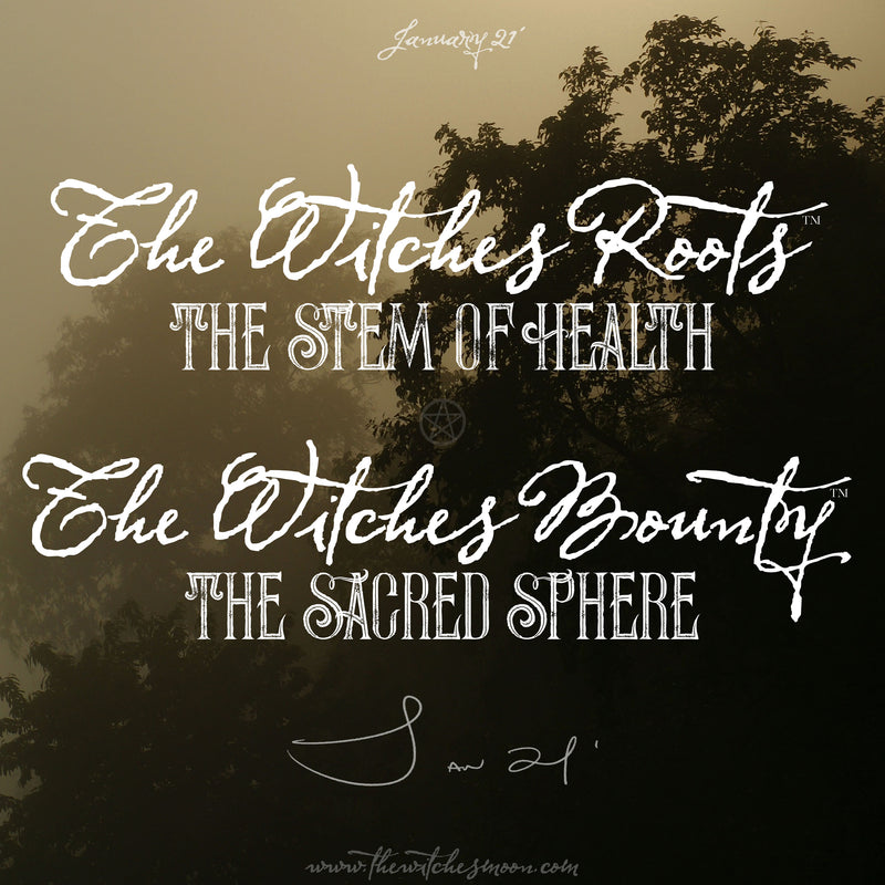 The Witches Roots™ & The Witches Bounty January 2021 Themes Revealed