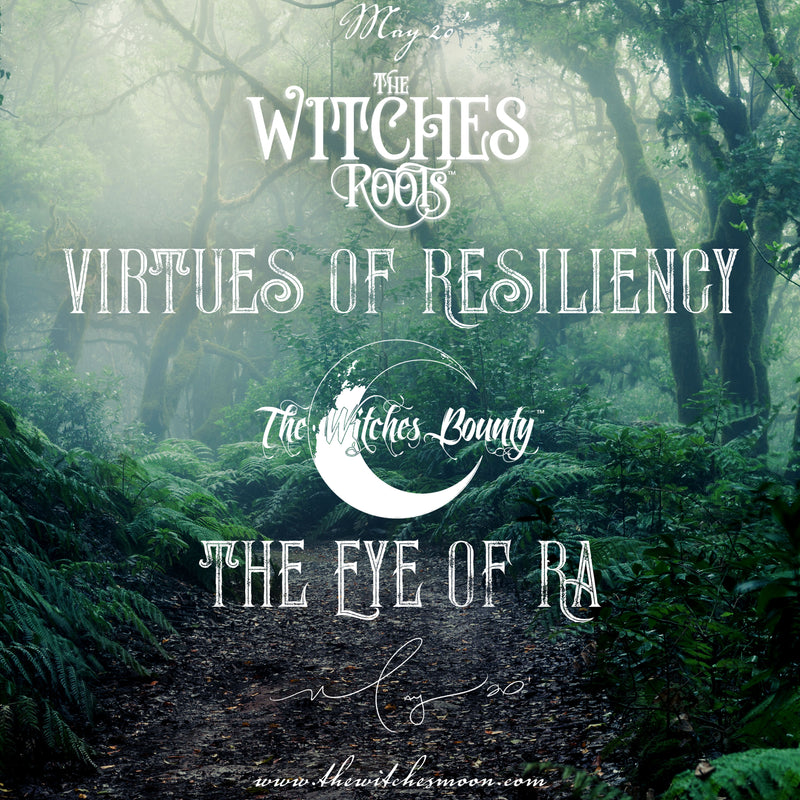The Witches Roots™ & The Witches Bounty™ May 2020 Themes Revealed