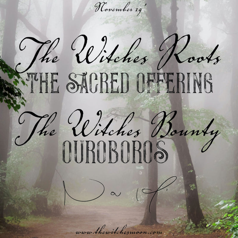 The Witches Roots™ & The Witches Bounty™ November 2019 Themes Revealed!