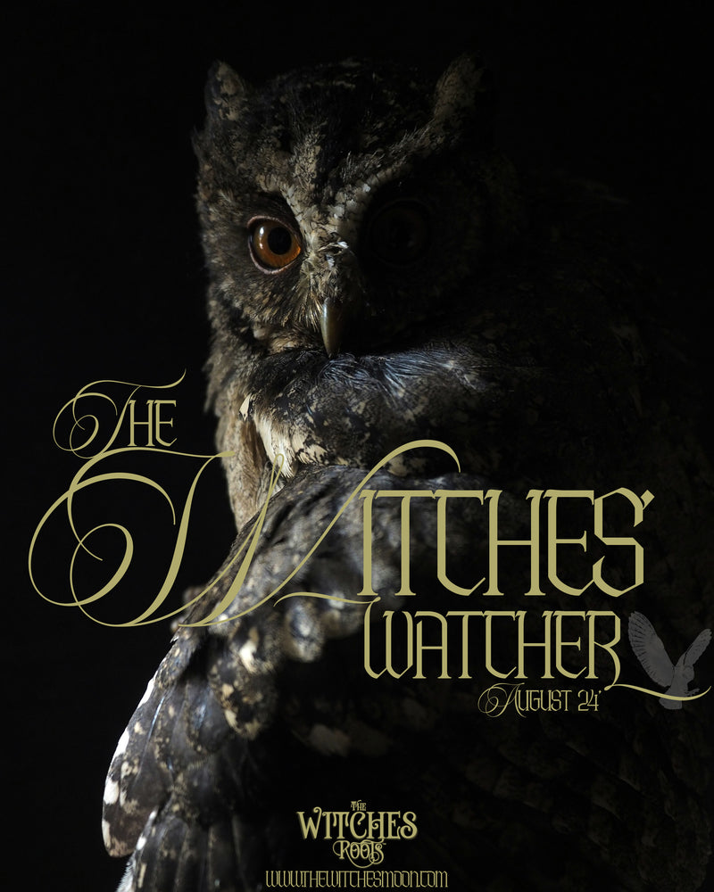 The Witches Roots™ ~ The Witches' Watcher ~ August 2024