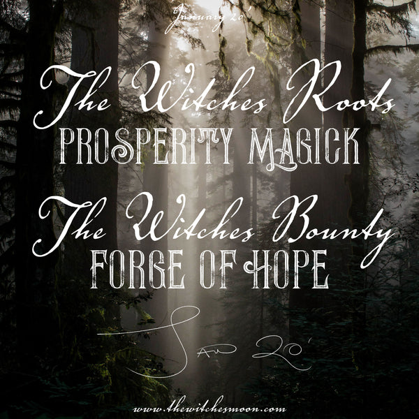 The Witches Roots™ & The Witches Bounty ™ January 2020 Themes Revealed!
