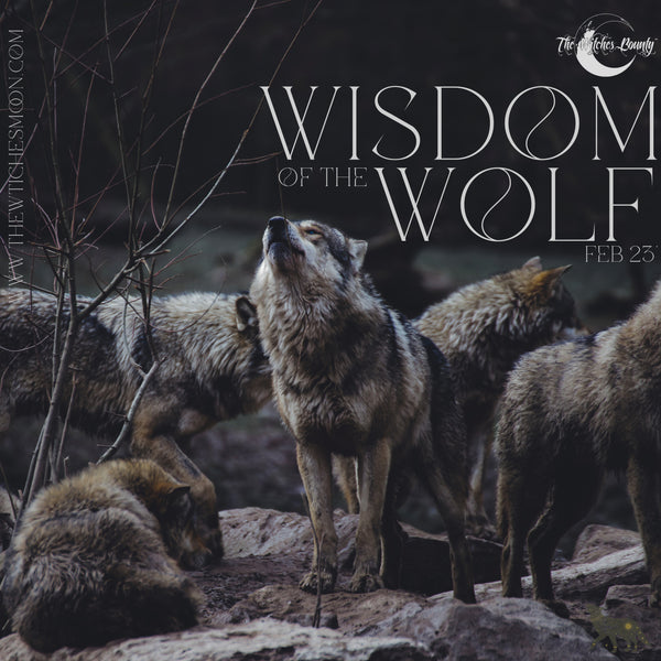 The Witches Bounty™ - Wisdom of the Wolf - February 2023