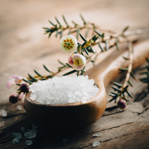 Sacred Bath Salt (Earth Medicine)