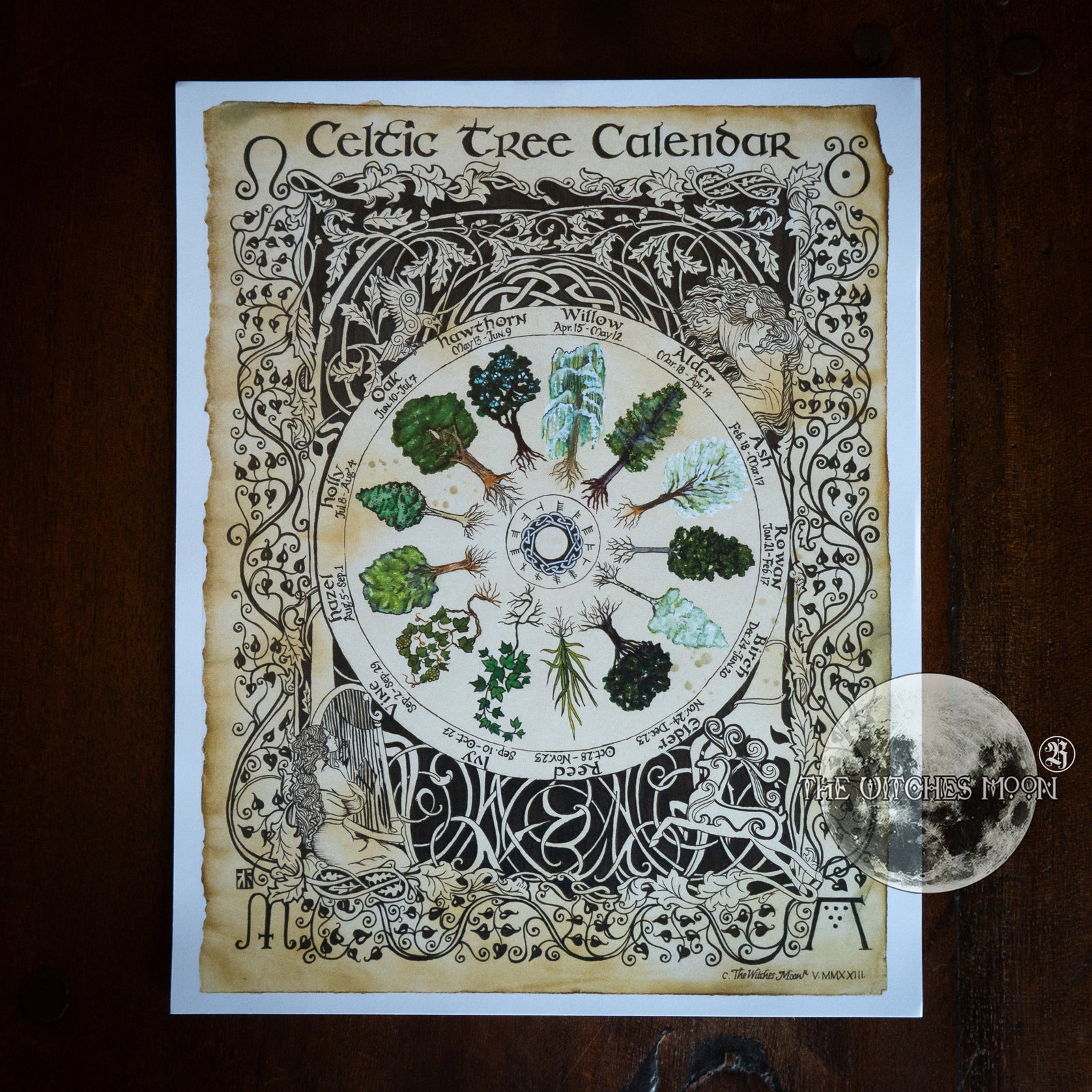 Celtic Tree Calendar Book of Shadows Artwork