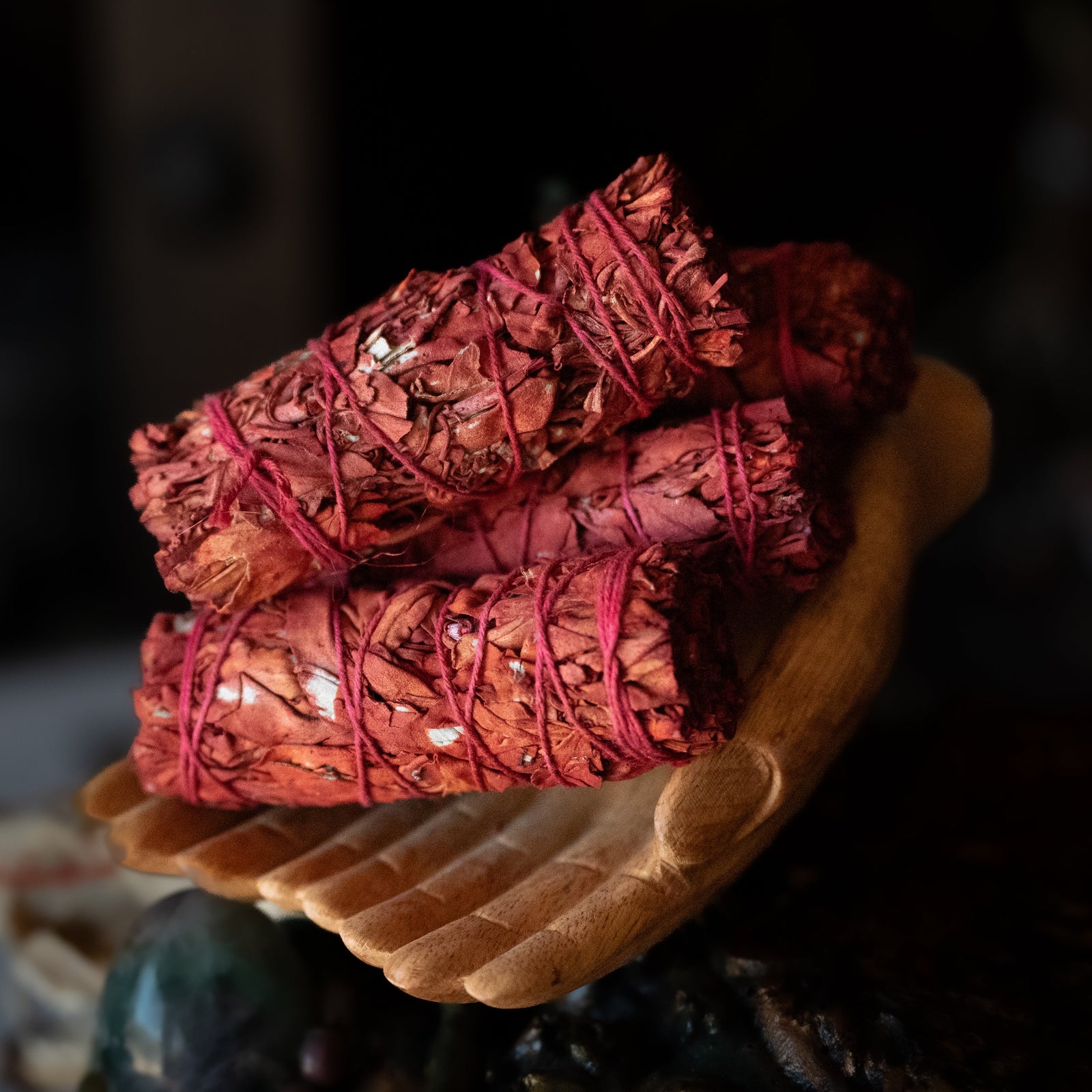 Dragon's Blood Sage (4")