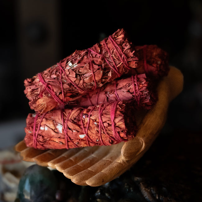 Dragon's Blood Sage (4")