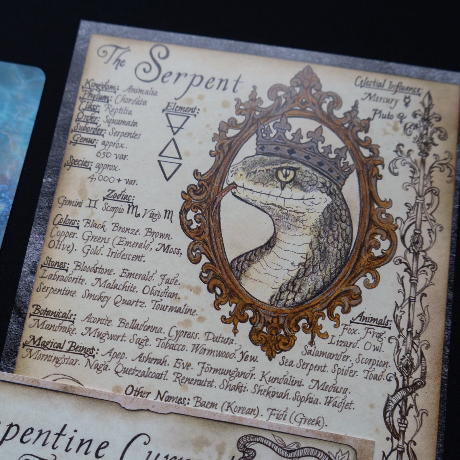 The Witches Moon® - The Sacred Serpent - June 2026
