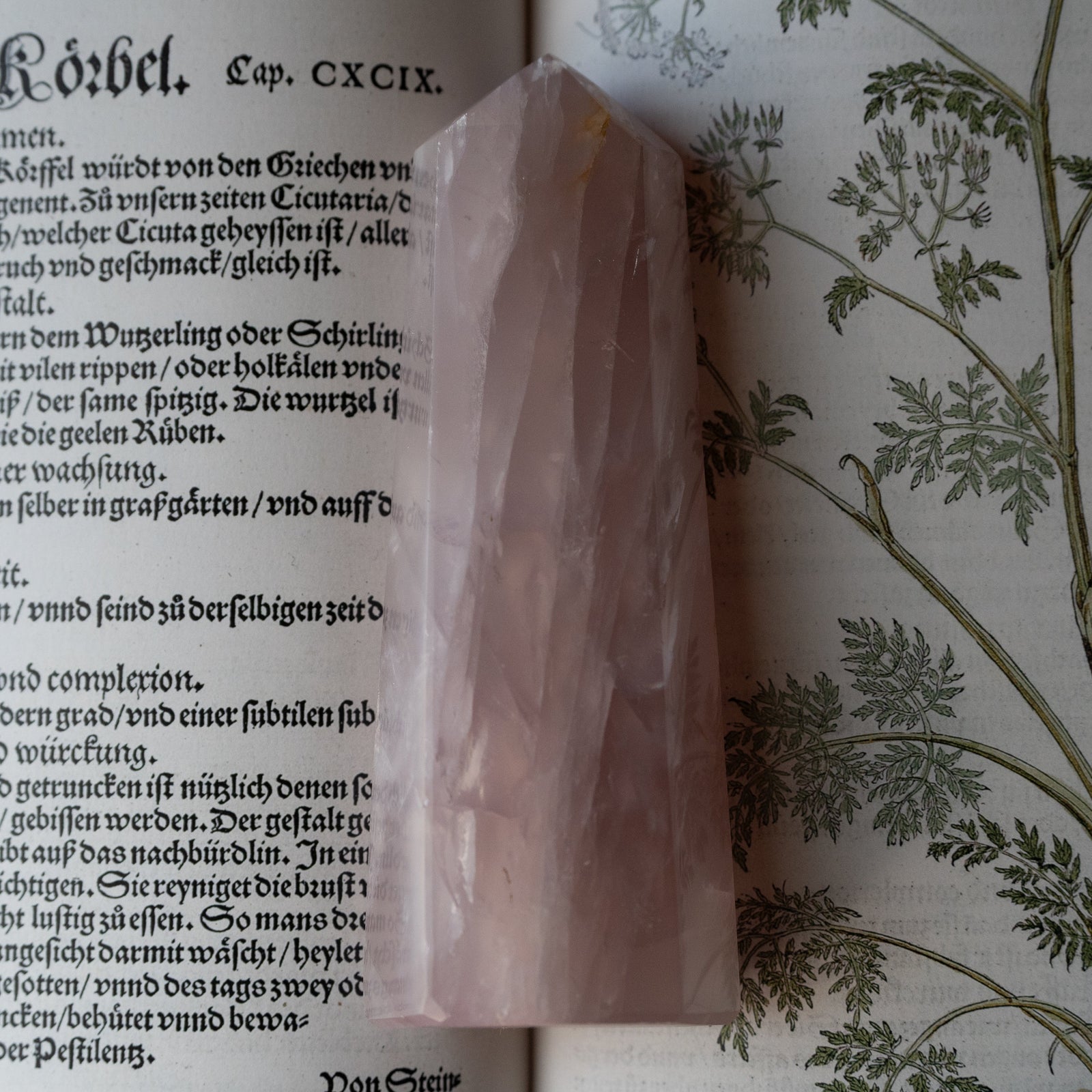 Rose Quartz Tower