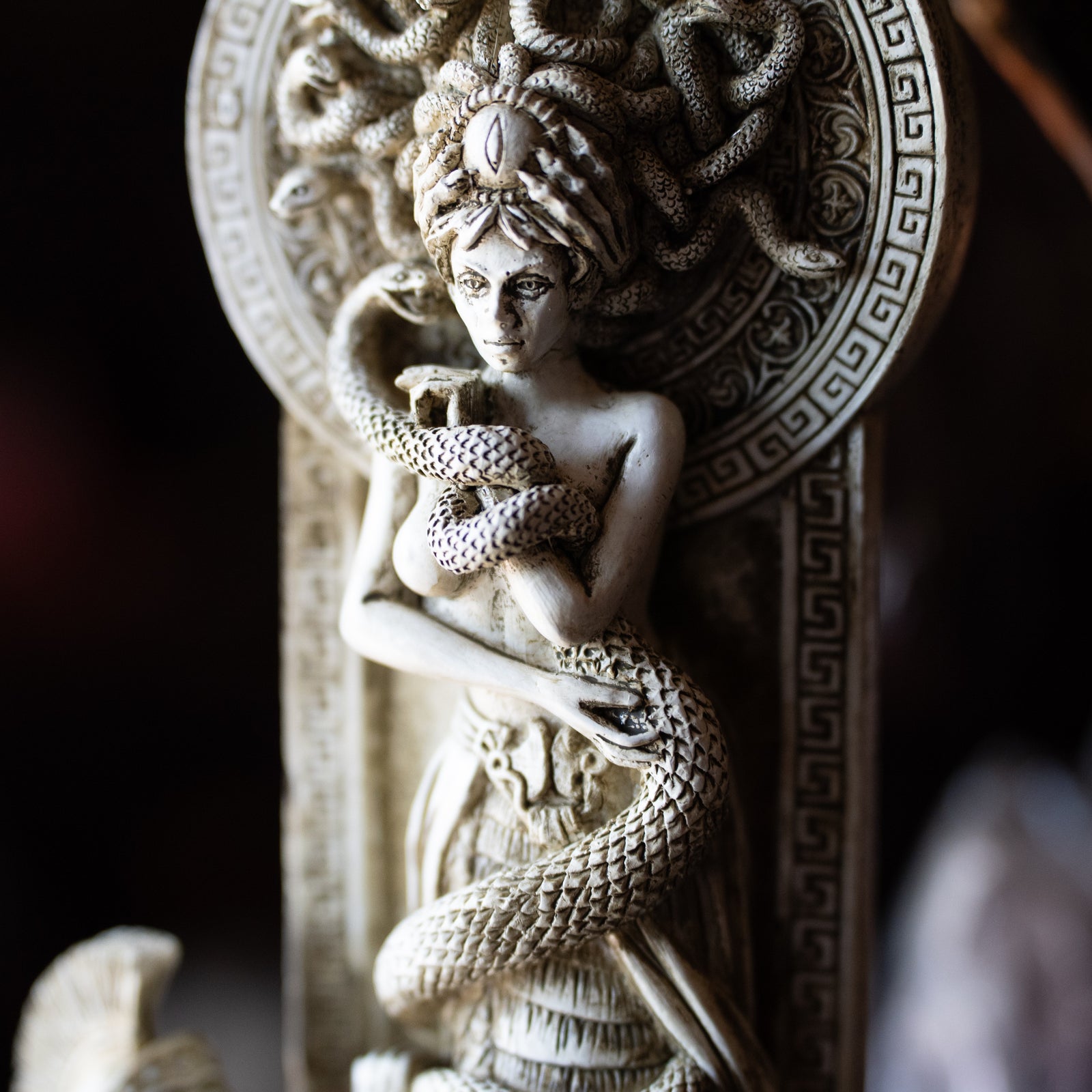 Medusa