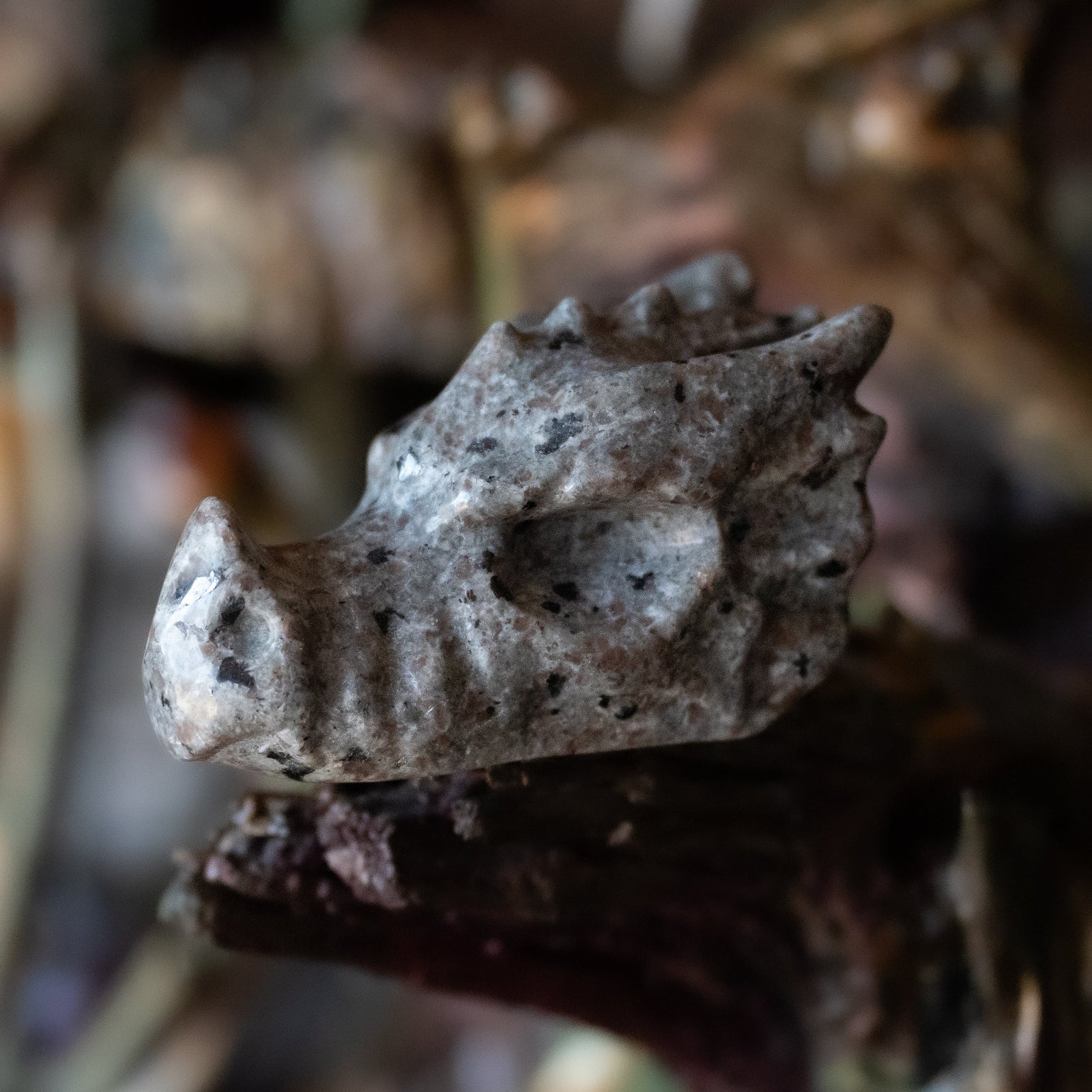 Syenite Dragon Skull