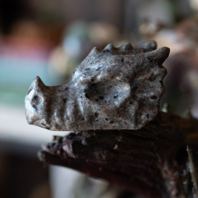 Syenite Dragon Skull