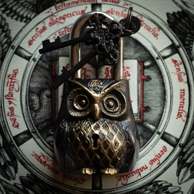 Owl Brass Lock