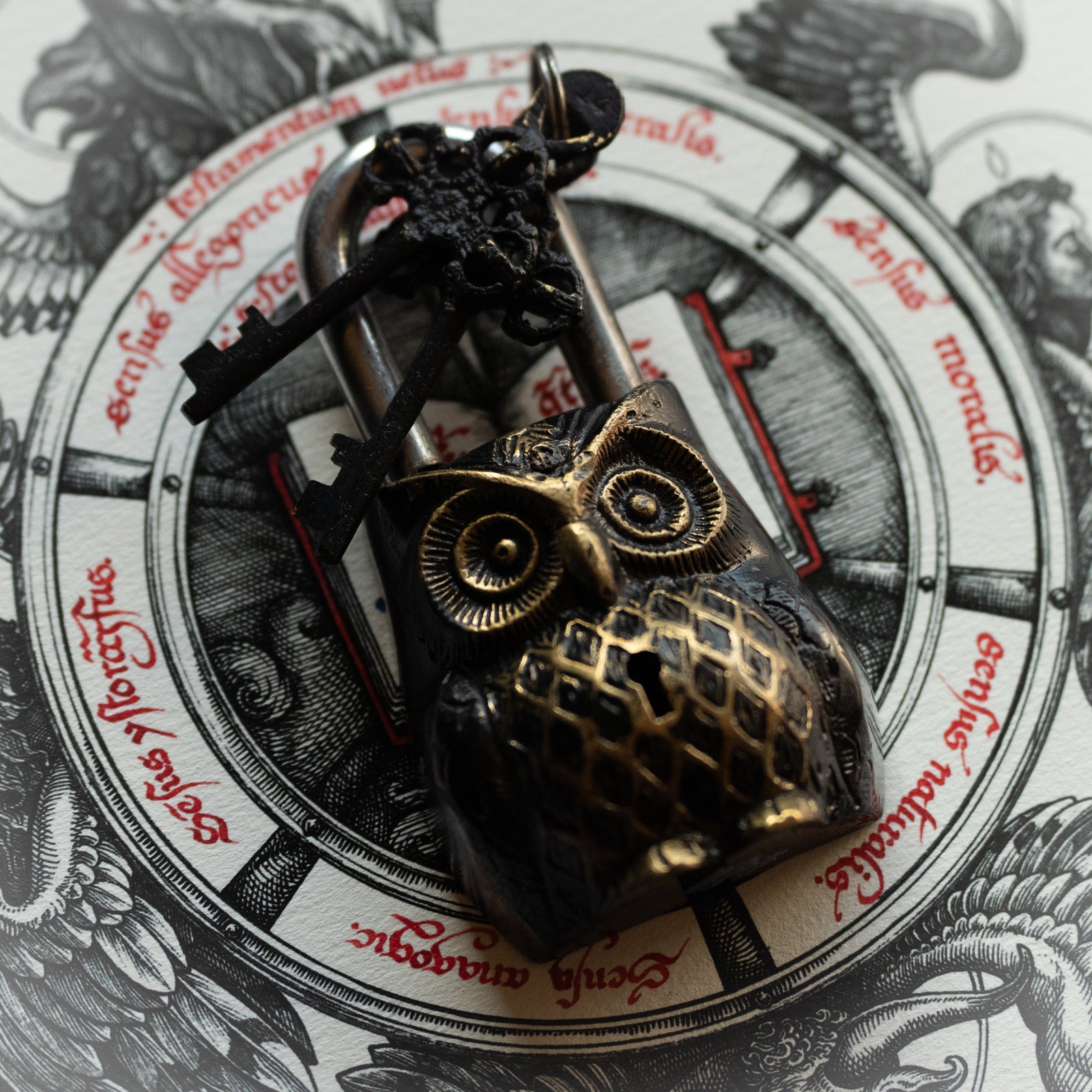 Owl Brass Lock