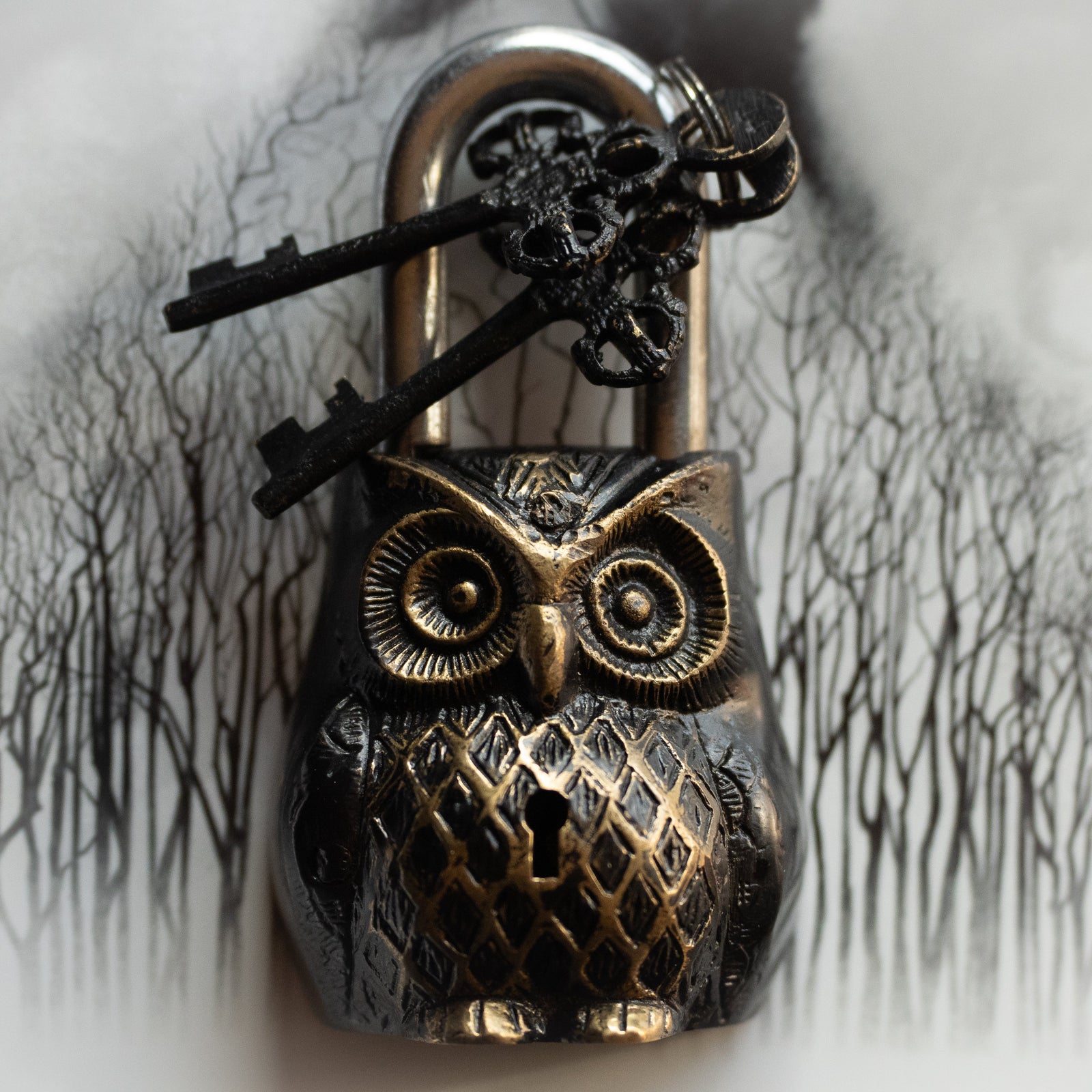 Owl Brass Lock