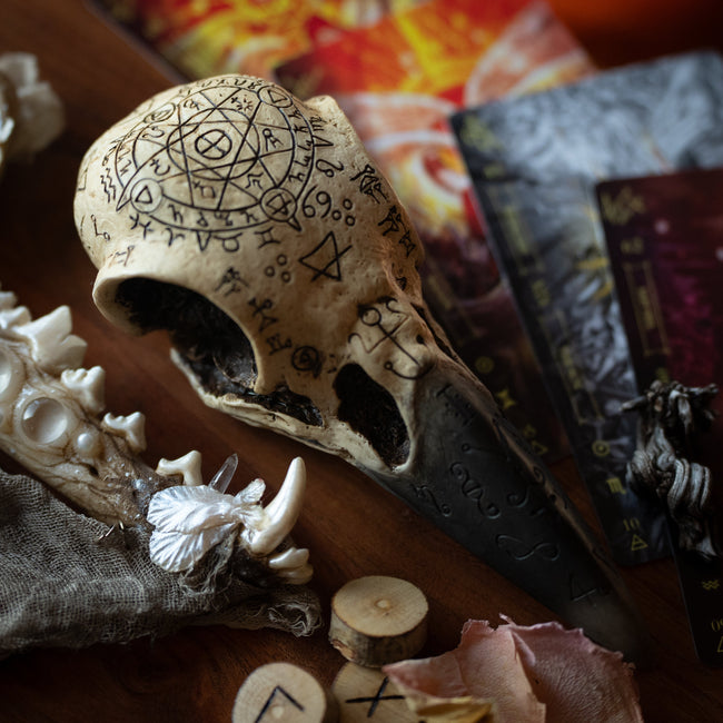 Raven Skull (Polystone)