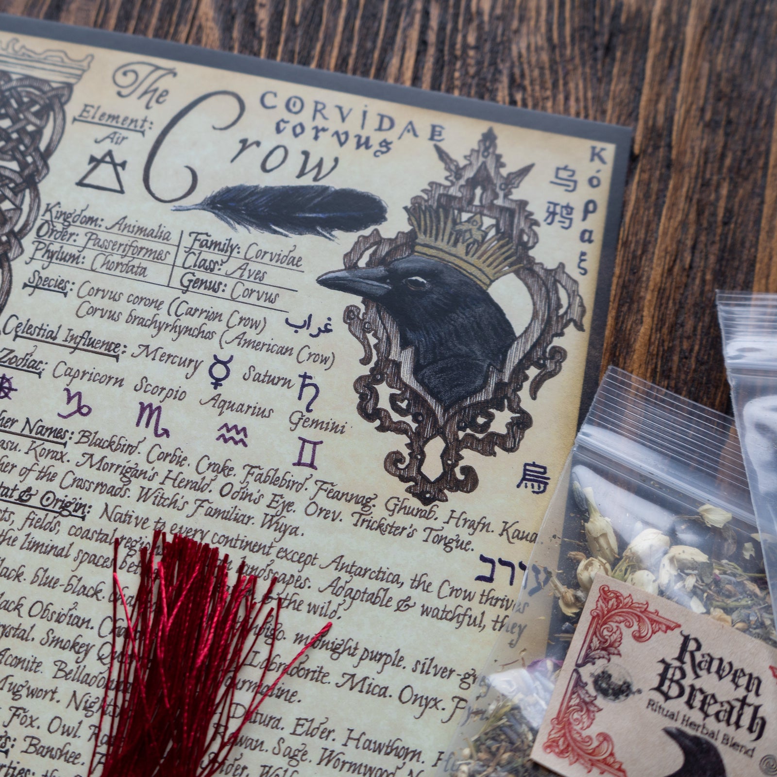 The Witches Moon® - Magick of the Morrígan - November 2025