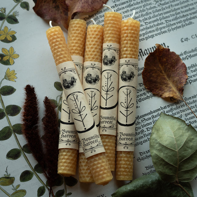 'A Bountiful Harvest' Beeswax Candle