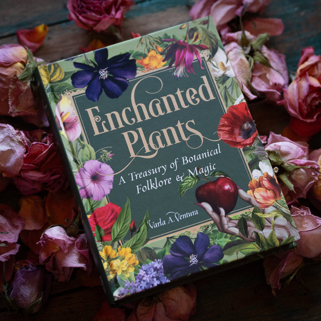 Enchanted Plants (Hardcover)