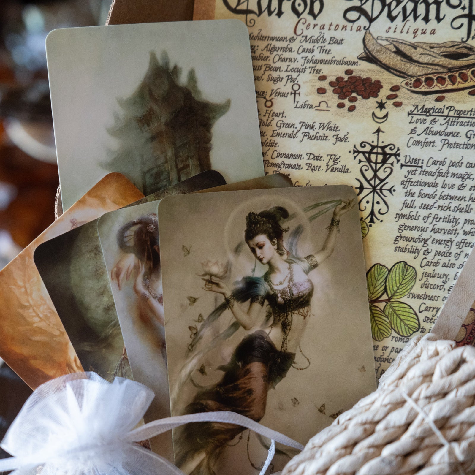 The Witches Roots™ ~ Conjuring of Compassion ~ September 2025