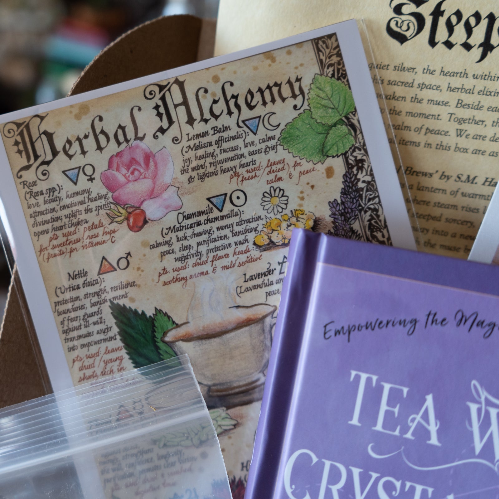 The Witches Roots™ ~ Steeps & Stones ~ December 2025