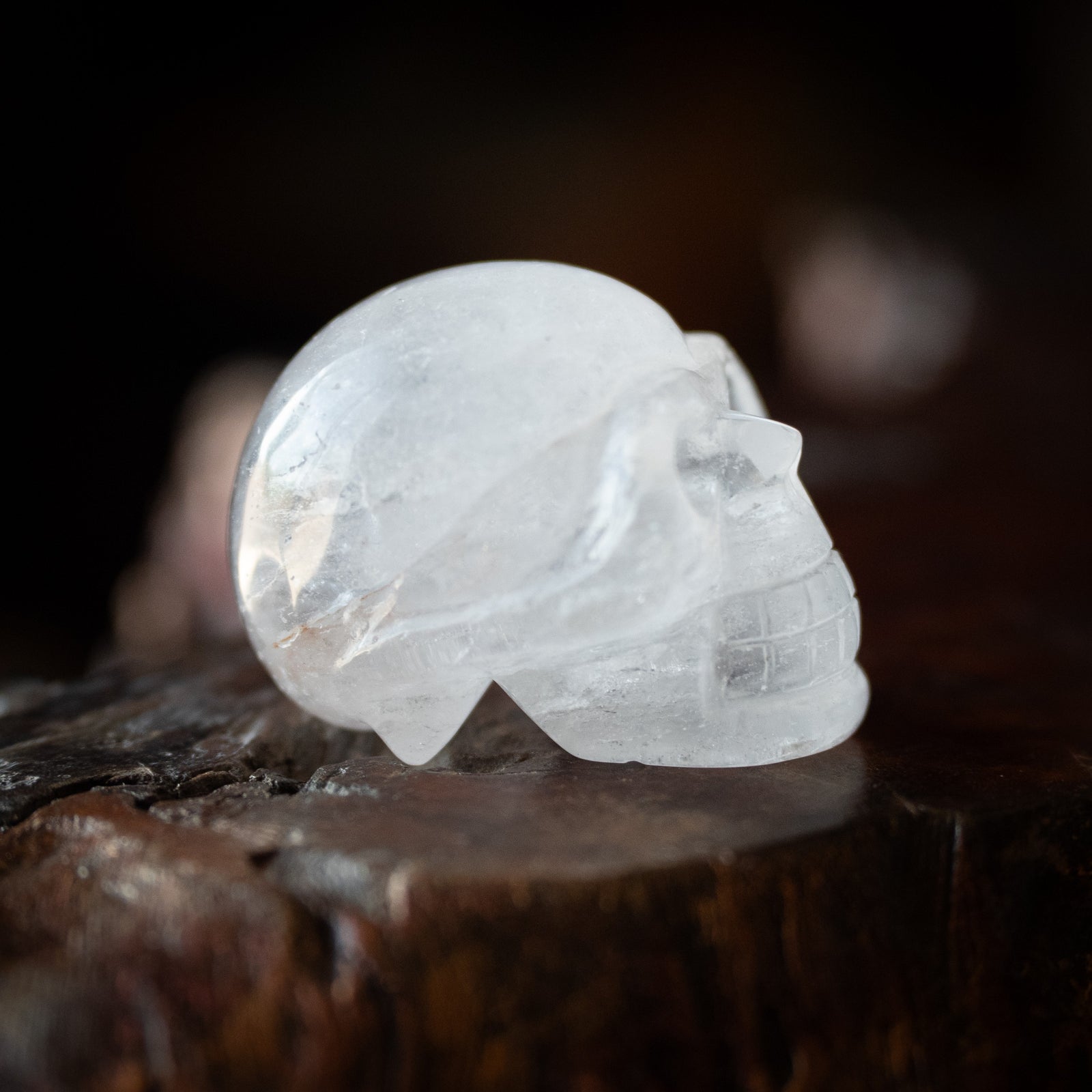 Quartz Crystal Skull