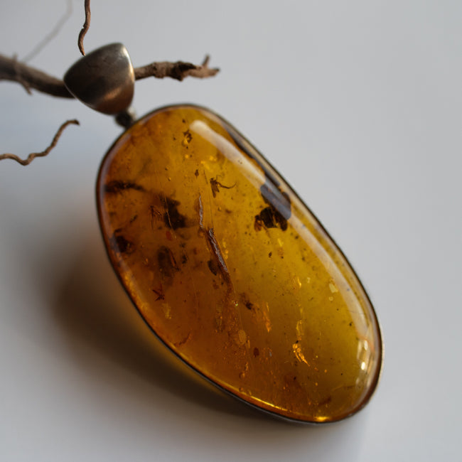 Baltic Amber Pendant w/ Insect Inclusion (.925)