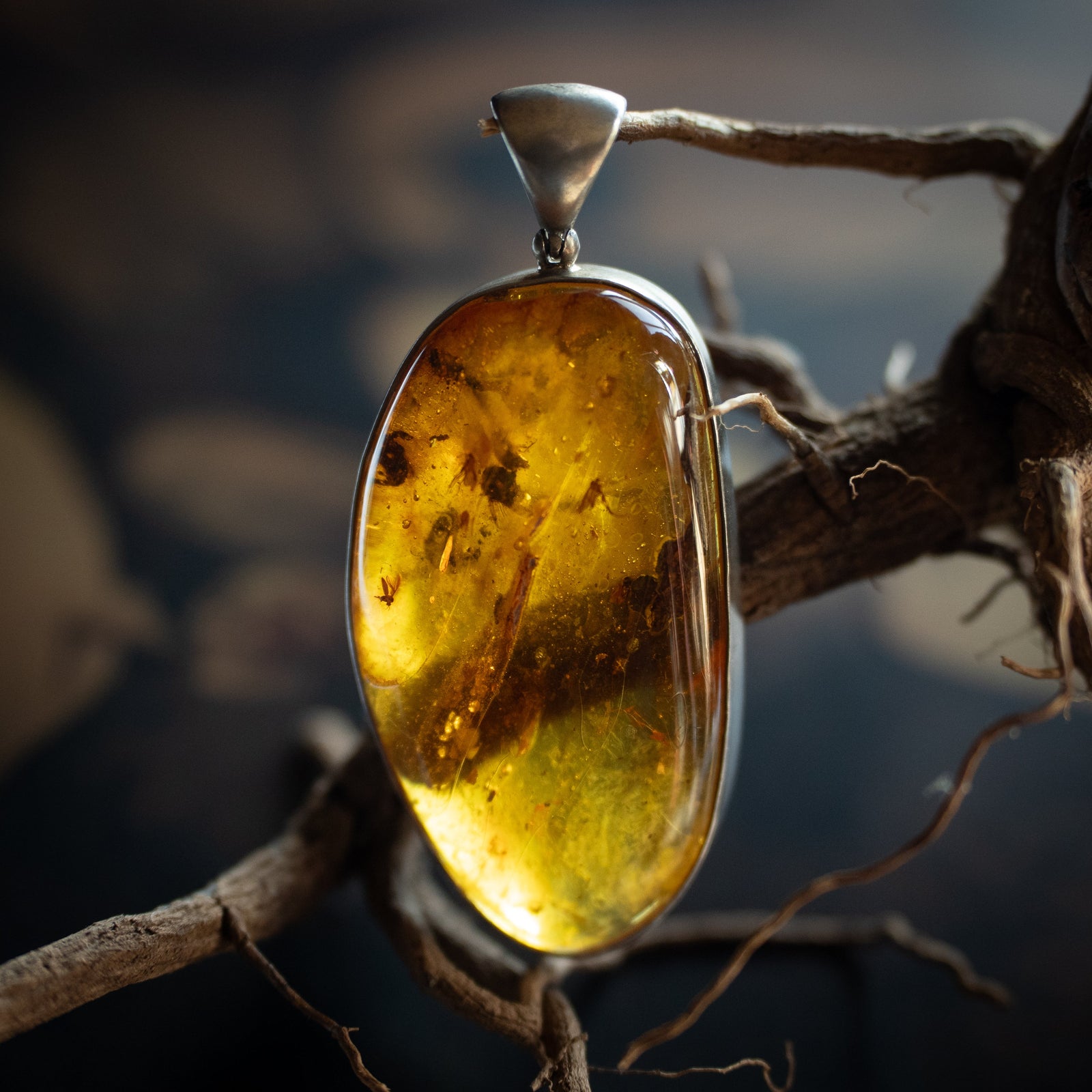 Baltic Amber Pendant w/ Insect Inclusion (.925)