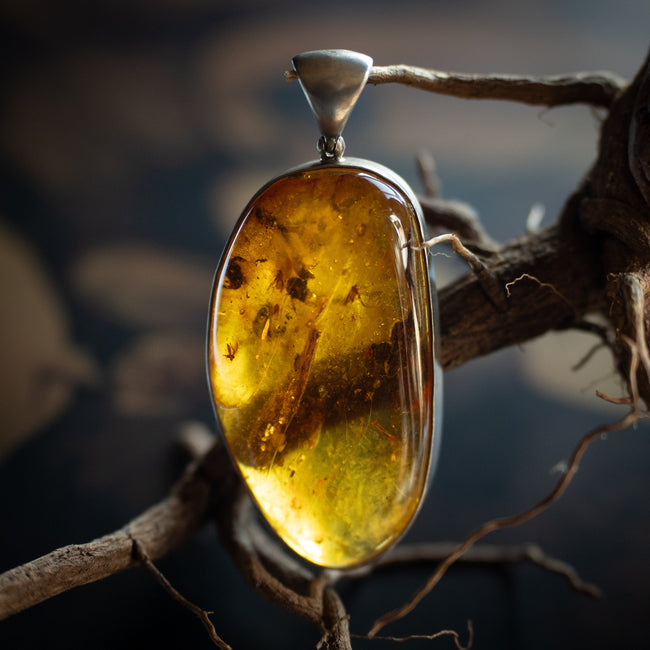 Baltic Amber Pendant w/ Insect Inclusion (.925)