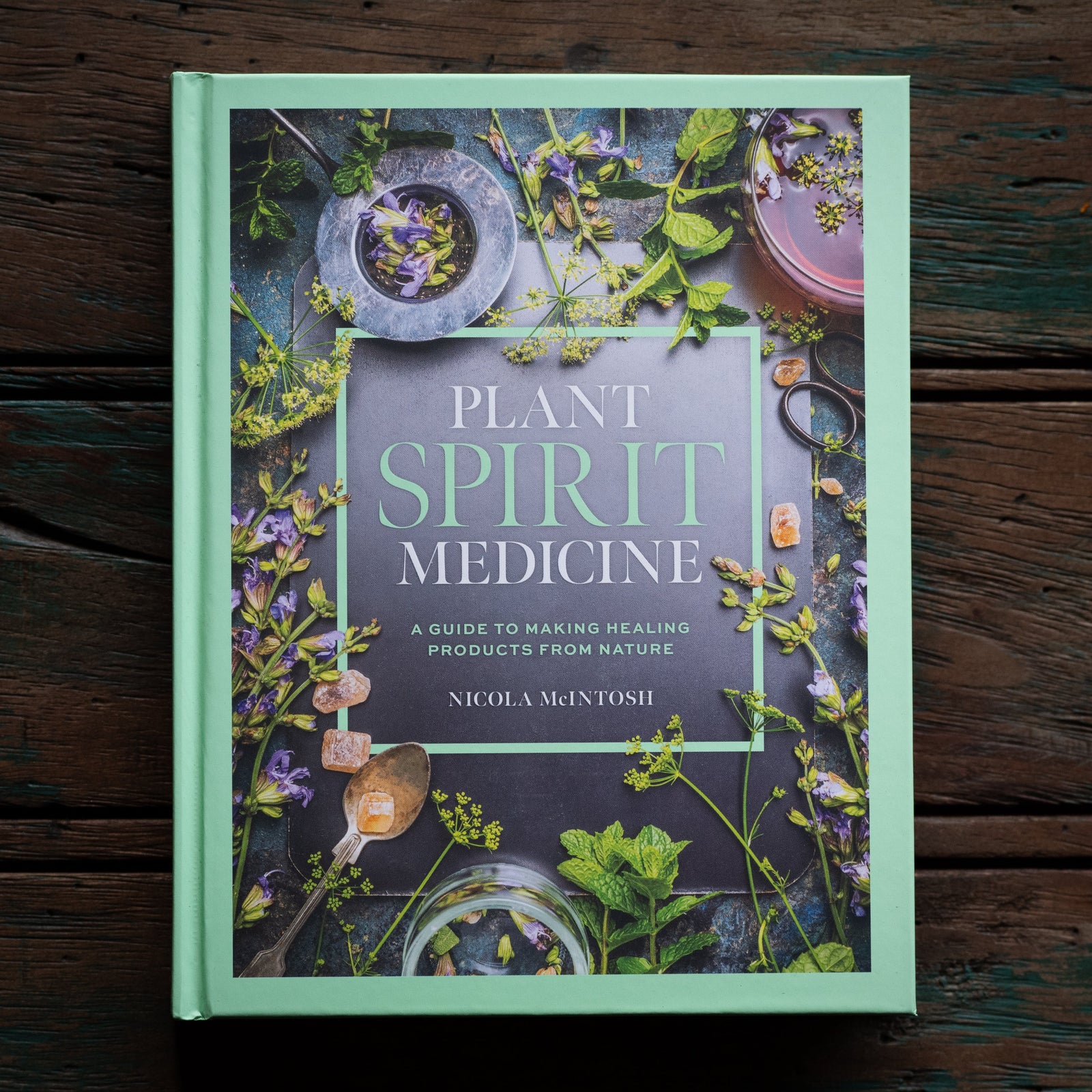 Plant Spirit Medicine (Hardcover)