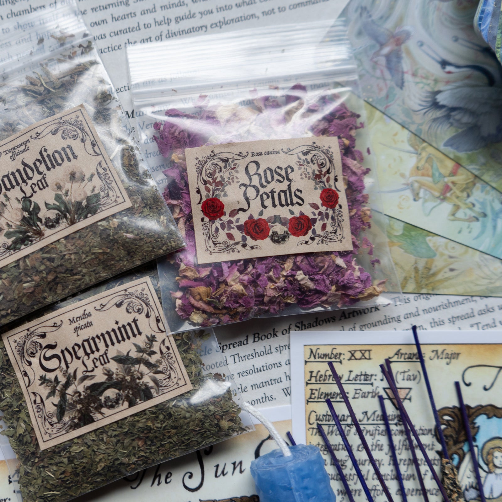 The Witches Moon® - Sunlight upon the Spirit Spread - January 2026