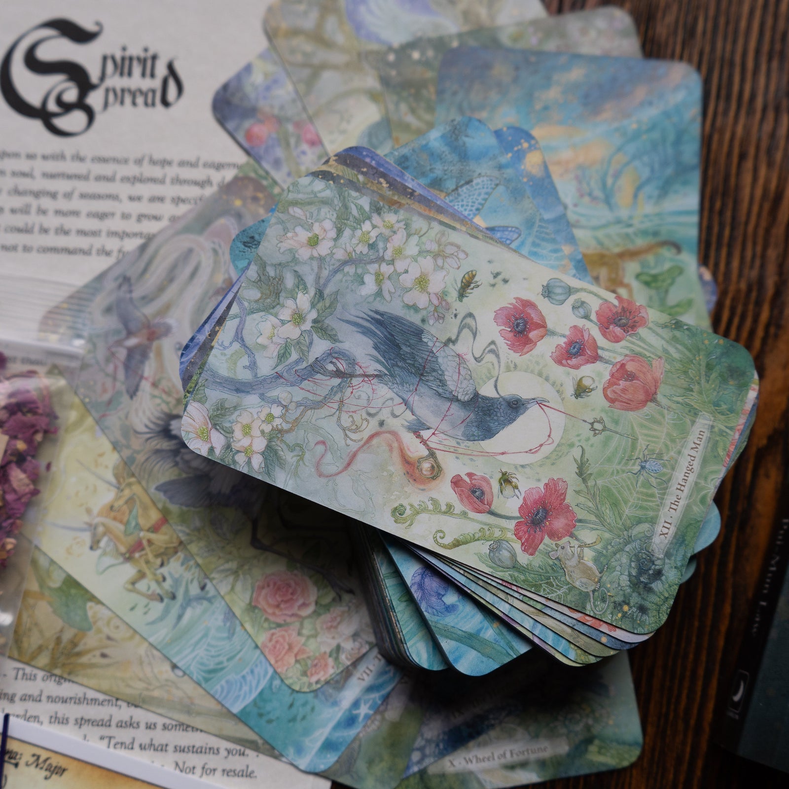 The Witches Moon® - Sunlight upon the Spirit Spread - January 2026