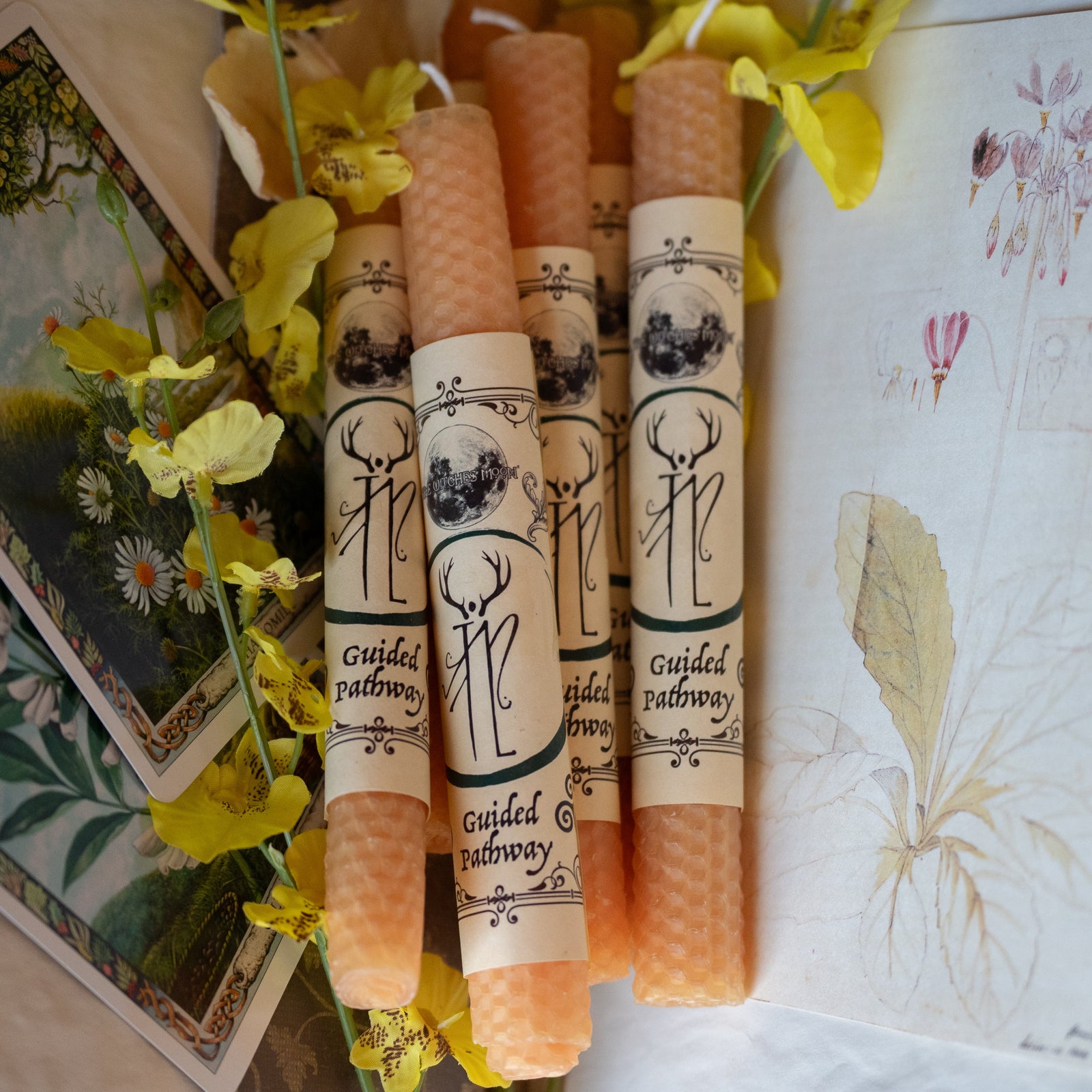 'Guided Pathway' Beeswax Spell Candle