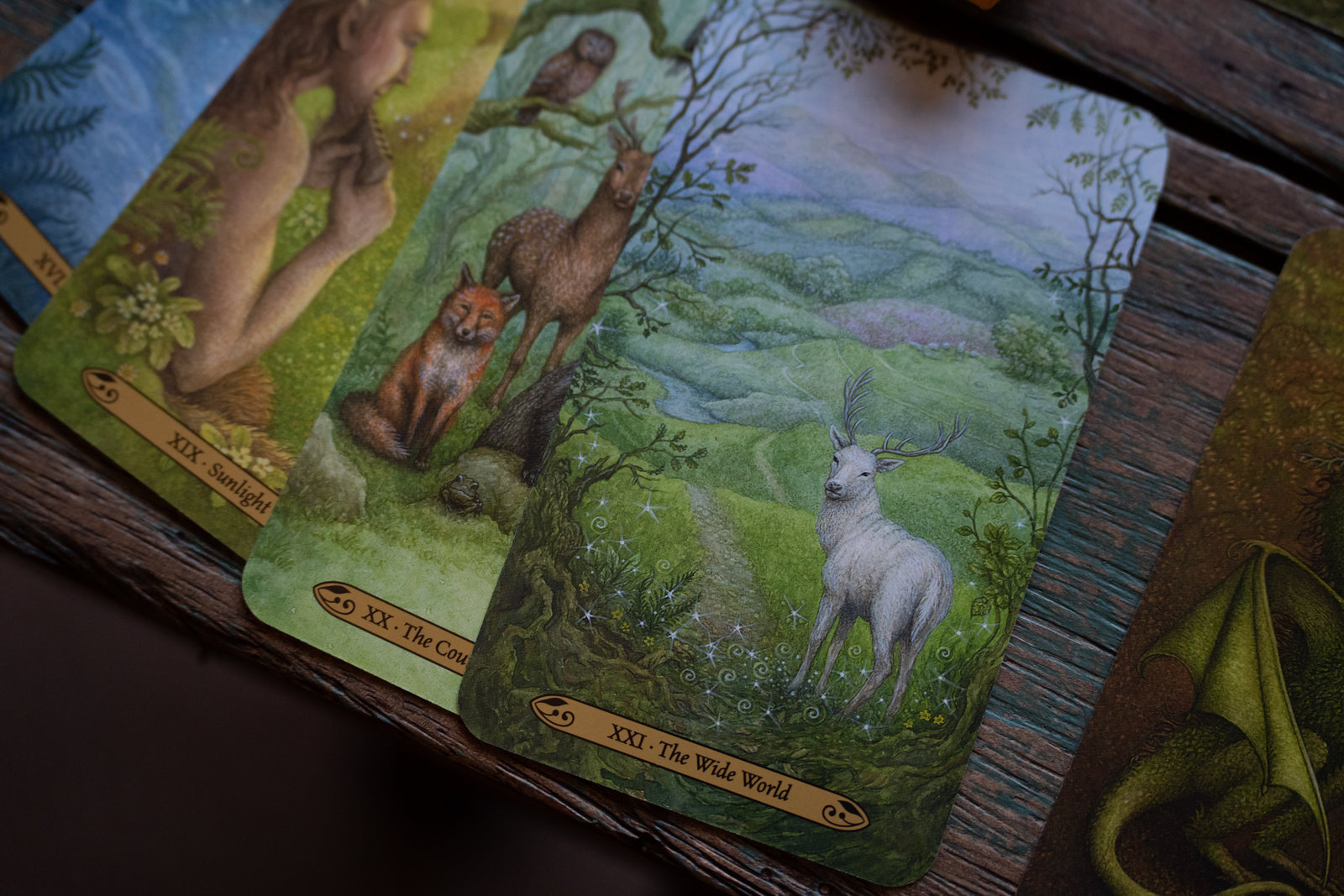 Forest of Enchantment Tarot