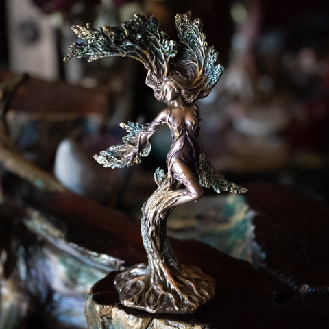 African Cowrie Shells Divination