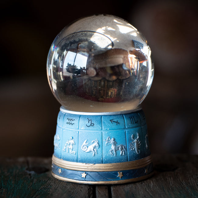 Zodiac Gazing Ball