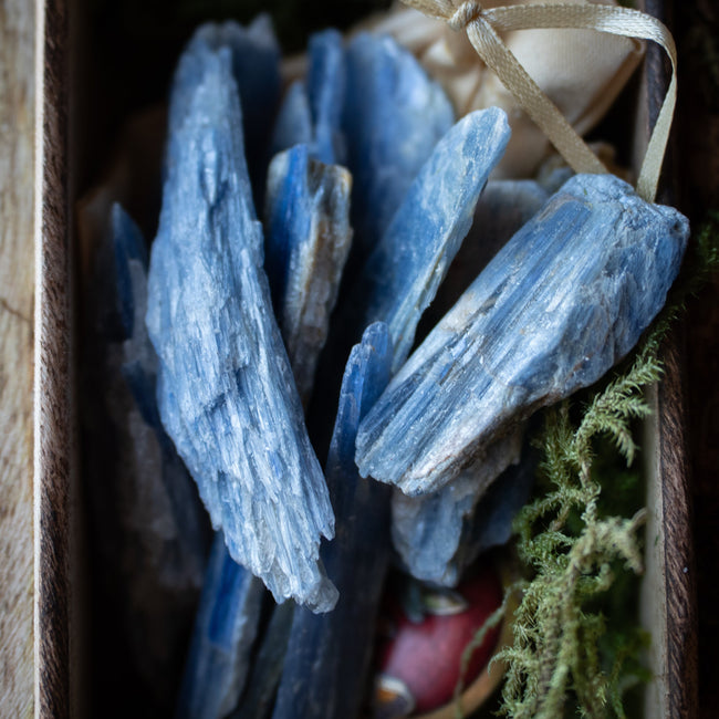 Lot of Blue Kyanite Blades (13)