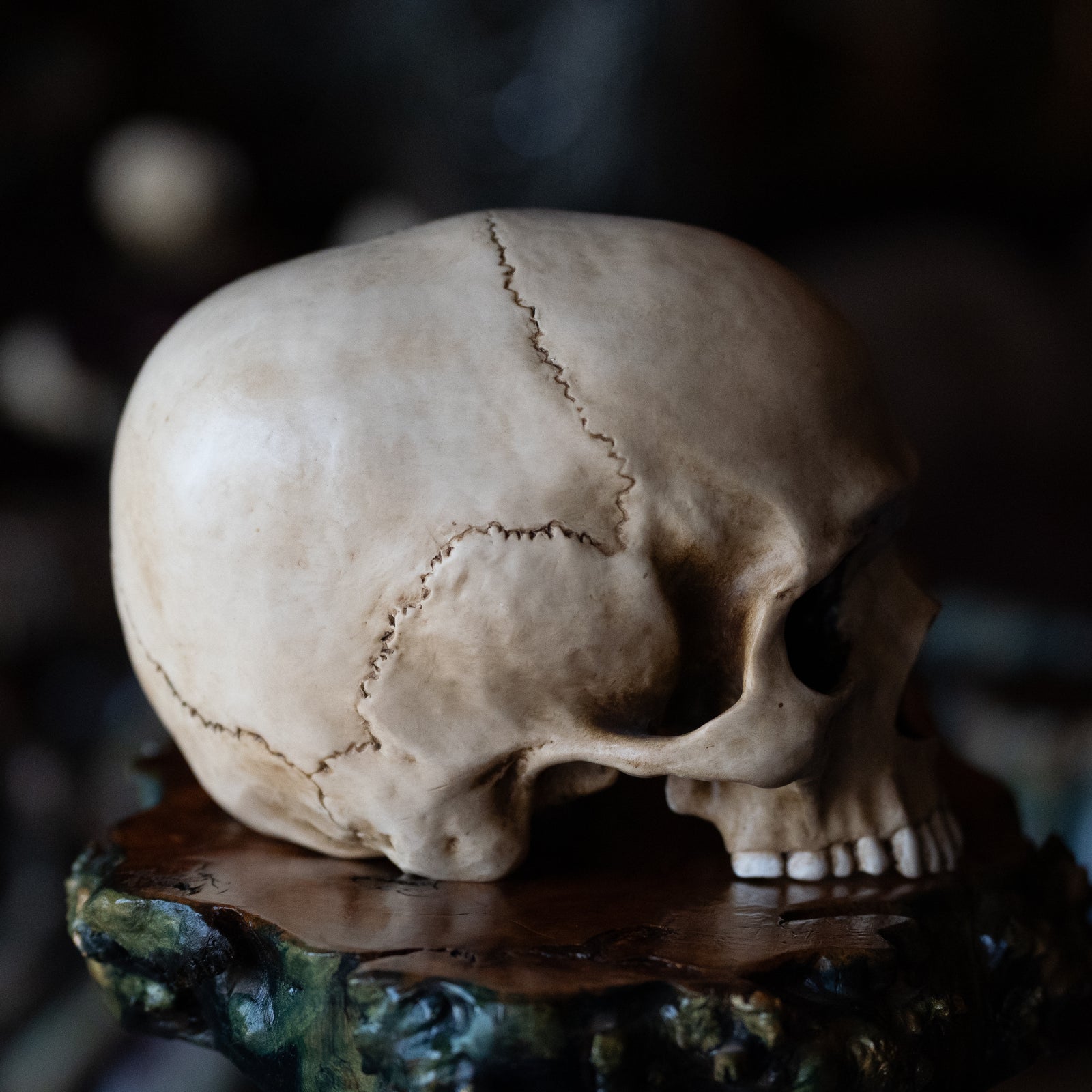 Skull (Replica)