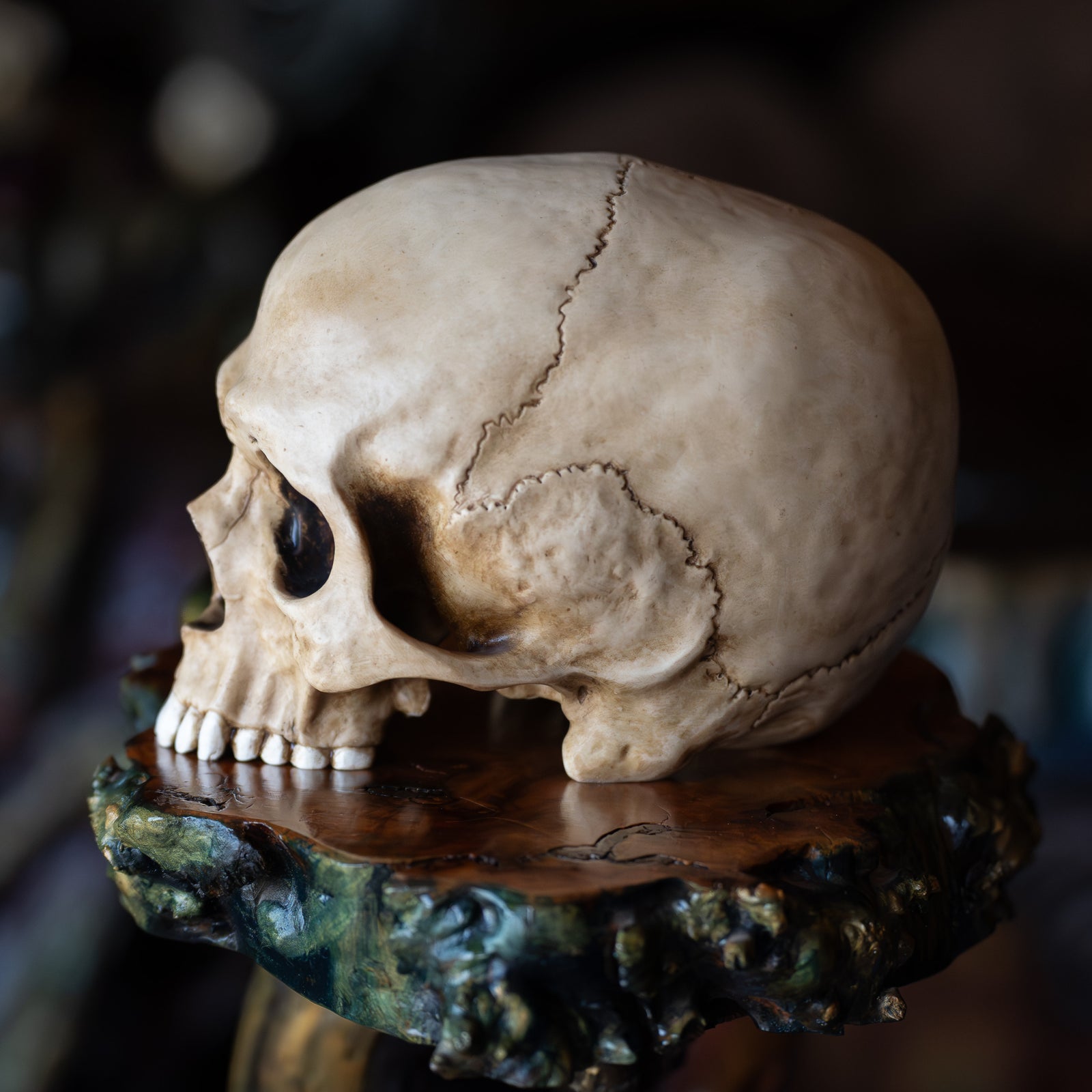 Skull (Replica)