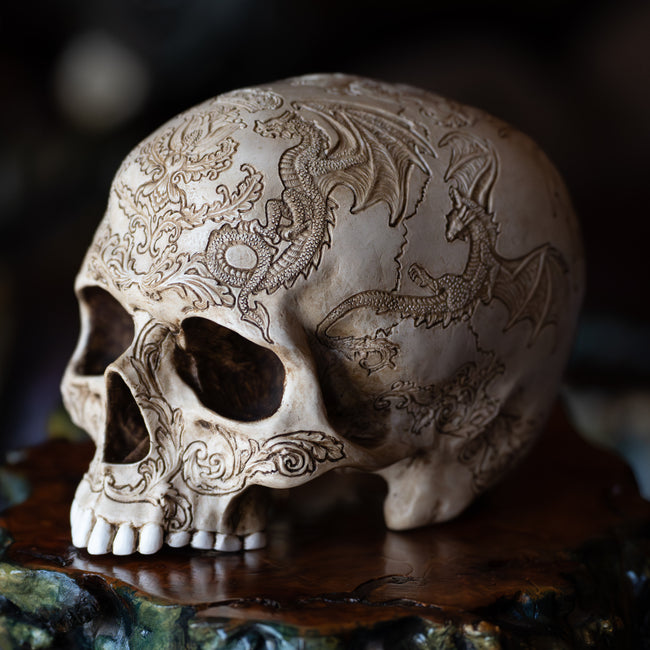 Thistle Dragon Skull