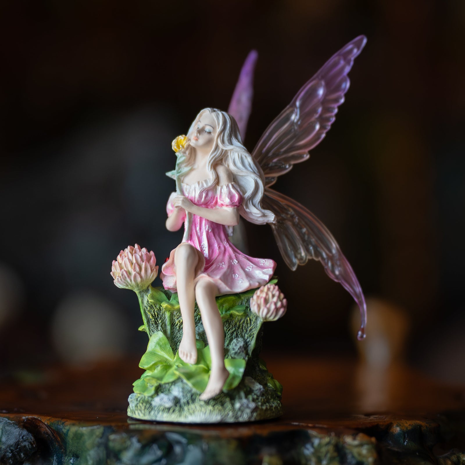 Pink Fairy & The Clovers